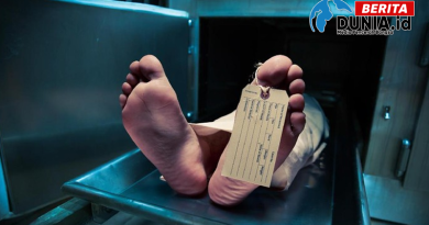 Geger di India, Mayat dalam Kamar Jenazah RS Dimakan Tikus