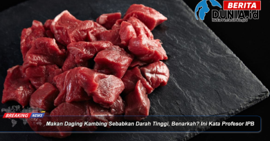Makan Daging Kambing Sebabkan Darah Tinggi, Benarkah? Ini Kata Profesor IPB