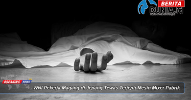 WNI Pekerja Magang di Jepang Tewas Terjepit Mesin Mixer Pabrik